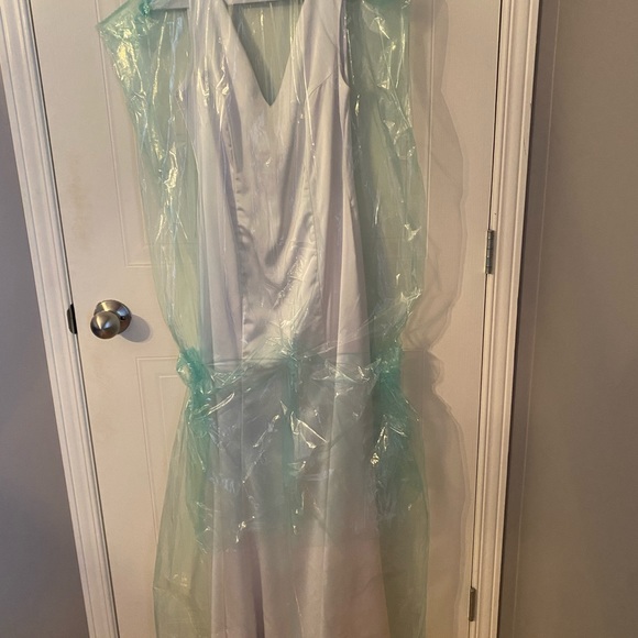 Purchased from Boutique 1861 - Picture 5 of 8